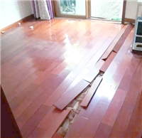 上海实木地板保养收缩 恢复防潮防变形