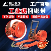 货物捆绑带 集装箱固定带 涤纶棘轮拉紧器 机头钩子 辰力直营