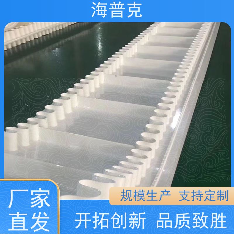 海普克 防静电耐磨可定制 饼干糖果生产线 耐高温 爬坡裙边输送带