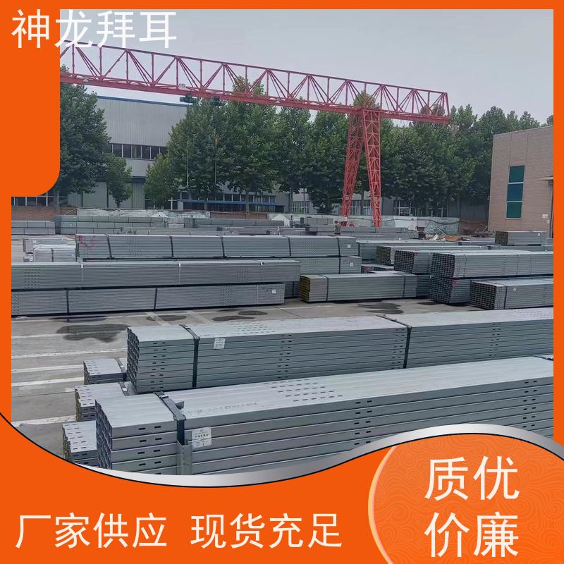 河北神龙拜耳 逆变器光伏支架 智能 厂