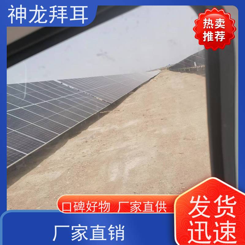 河北神龙拜耳 内蒙古光伏支架供应商 一站式解决方案 厂商
