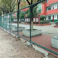 朔州球场安全围栏 运动场围栏 浸塑防护网
