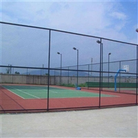 朔州球场安全围栏 体育场护栏 浸塑防护网