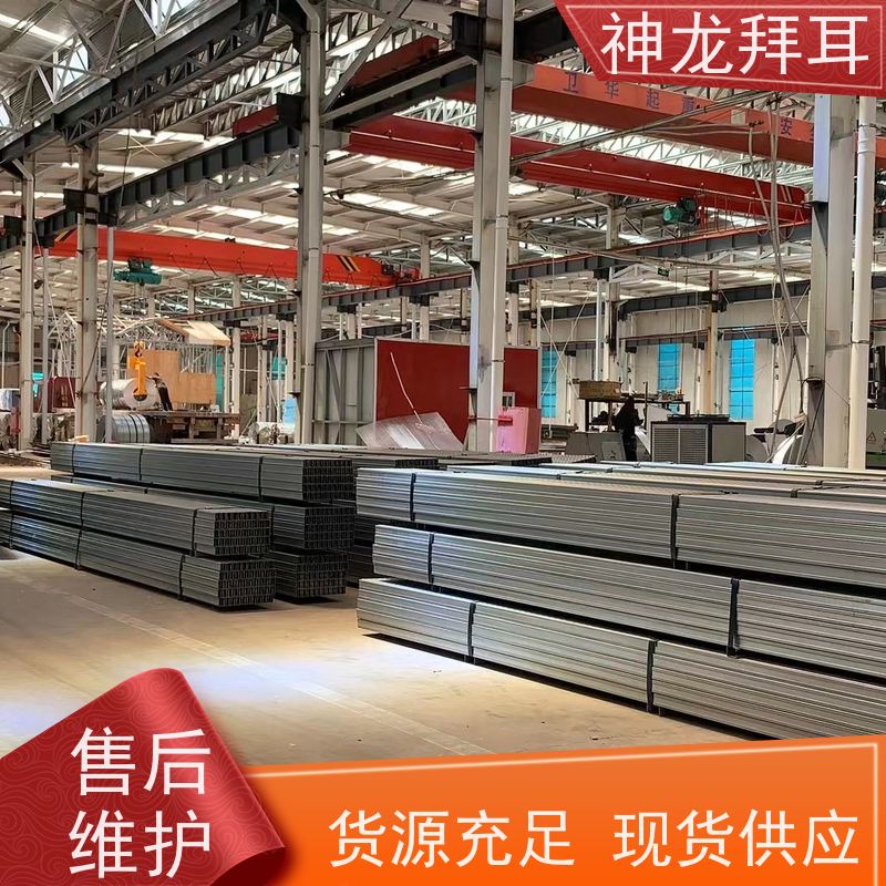 神龙拜耳 光伏支架碳钢 抗冲击 公司