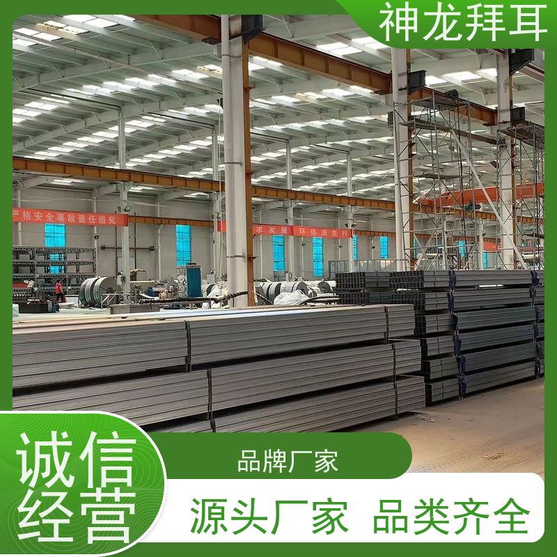 河北神龙拜耳 沙漠光伏支架 高效 生产厂家