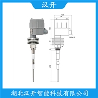 RF33H5G2A10射频电容物位变送器 汉开