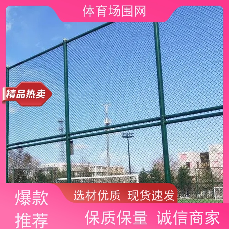 校园活动场地围栏生产体育场围网镀锌包塑球场护栏 恒烨