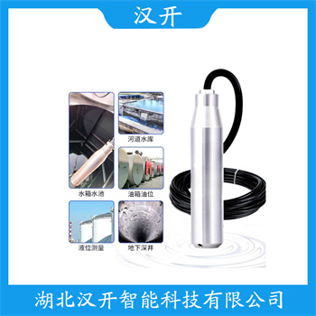 NY700-D-F 缆式液位传感器功能特点