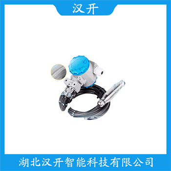 DS1300-QS-A-2-3mH20/CD5-SZ 单法兰液位变送器选择要点