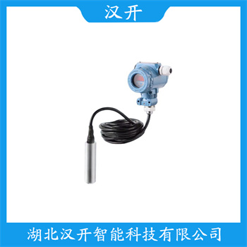 BP8000 产品特点 投入式静压液位传感器