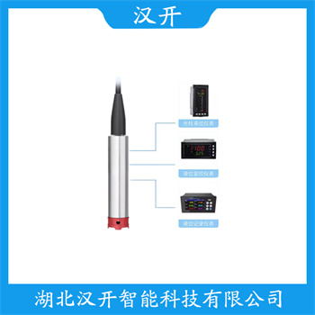 DPS8H-AGG 功能特点 缆式液位传感器