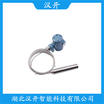 PL8003GA22LMA10 功能特点 缆式液位传感器
