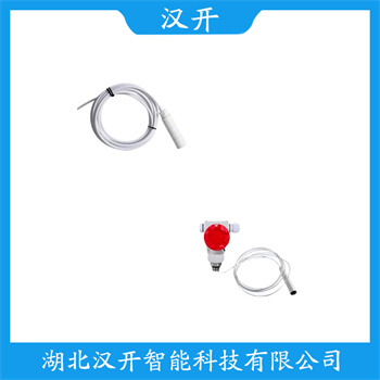 BP8000 产品特点 投入式静压液位传感器
