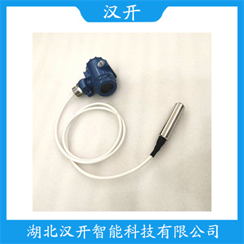 DPS8H-AGG 缆式液位传感器功能特点