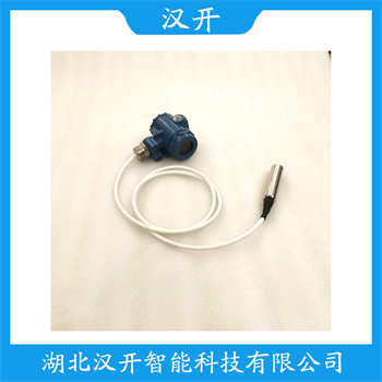 PL8003GA22LMA10 功能特点 缆式液位传感器