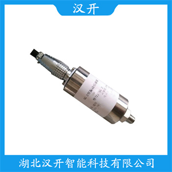 NE6103-005-120-01-10-00-00振动传感器 功能特点 振动温度传感器