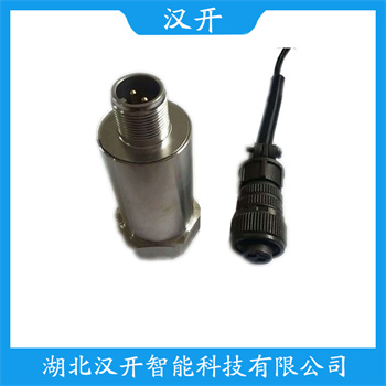 RS900905-00-12振动探头 维护建议 垂直振动传感器