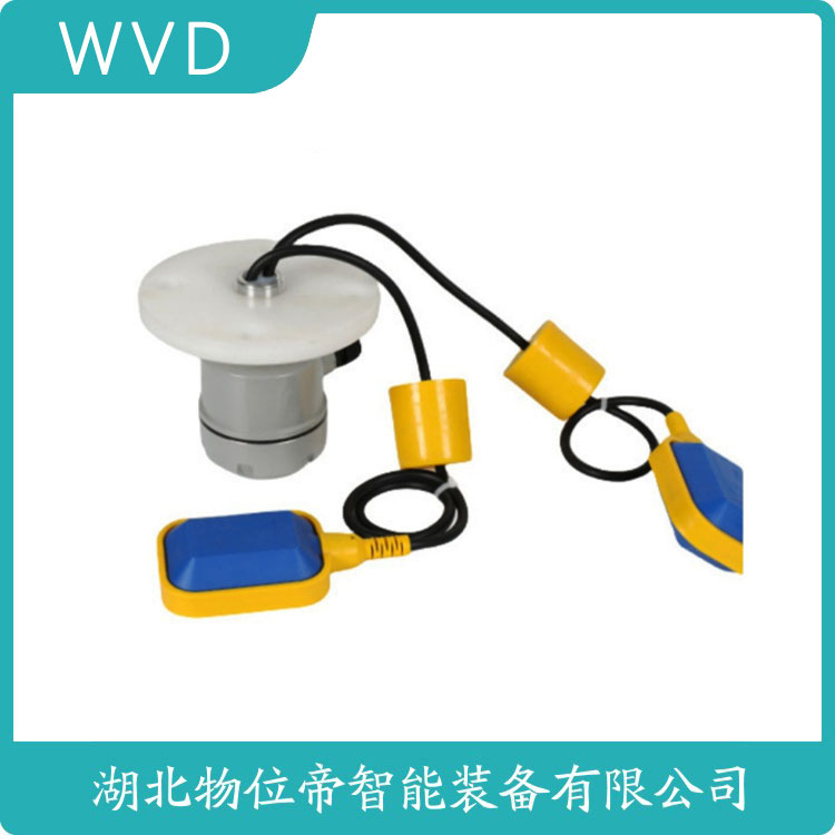 S62QW6不锈钢浮球开关 产品图片