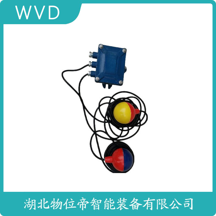 FCH31PD浮球液位开关 WVD