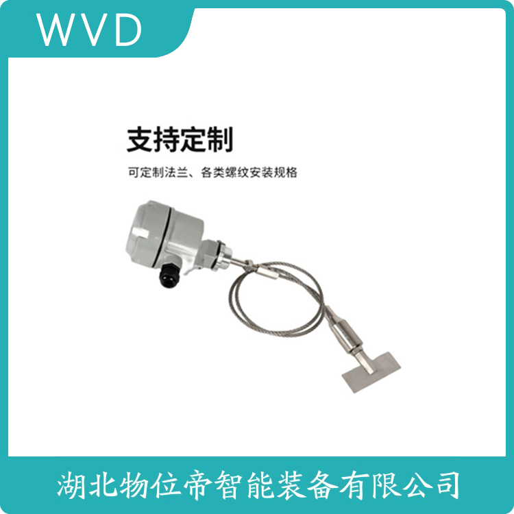 S300W3阻移式物位计 WVD