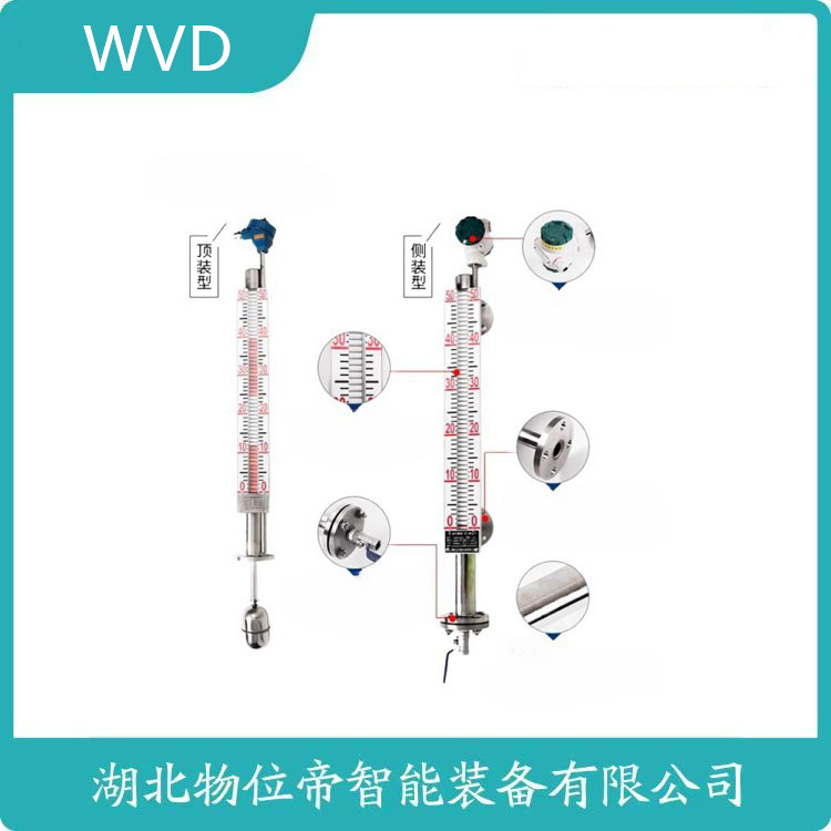 ESC30010-2翻柱式磁浮子液位计 WVD