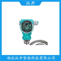 船舶液位变送器 HDP601
