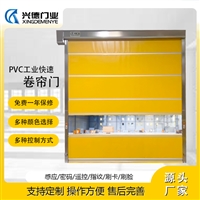 广东东莞拉链快速门 自动门快速门 冷库快速门