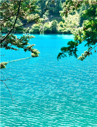 黄石铁山区格兰仕空调电话维修/24小时服务热线