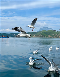 湘潭松下中央空调维修-服务咨询