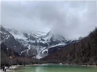 怀化樱花消毒柜服务维修电话24小时客服热线