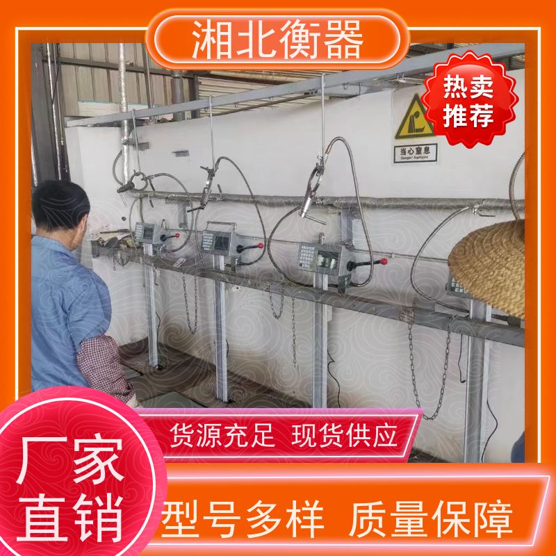 二氧化碳充装称秤充瓶秤杜瓦瓶 电子秤 气体充装秤厂家直供 