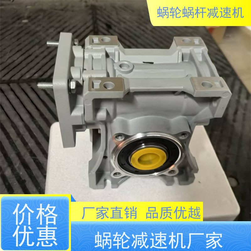 精密蜗轮减速机 NMRV110 防水电机 提升机 艾思捷