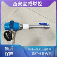 BWZJ-FTA废气燃烧器复合型防爆一体化火焰检测设备 圆柱形