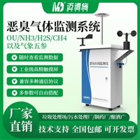 迈德施垃圾处理厂在线恶臭检测仪 臭气在线监测仪 可测气象五参