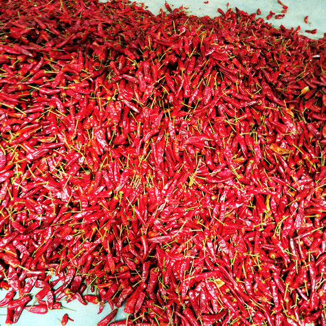 福建古田特产一级辣椒50斤装福建辣椒王香辣干辣椒精武鸭脖调料包