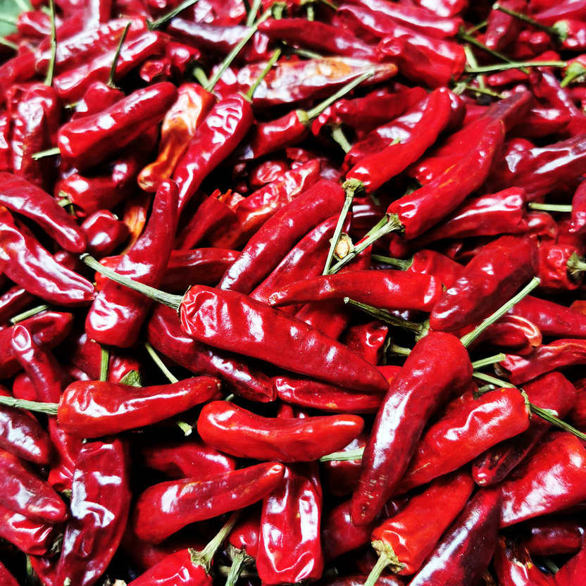 正宗福建辣椒王500g某鸭堂辣鸭货精武鸭脖必备调味料源头产地直供