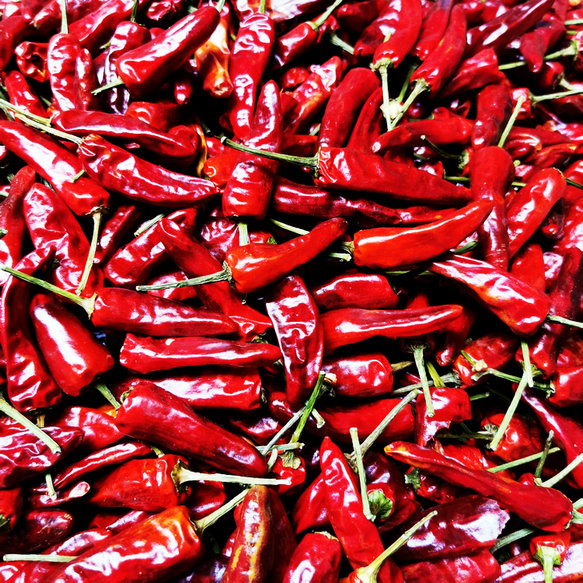 福建辣椒王500g 九三鸭霸王专用辣椒鸭脖卤料包秘制香料批发调味料