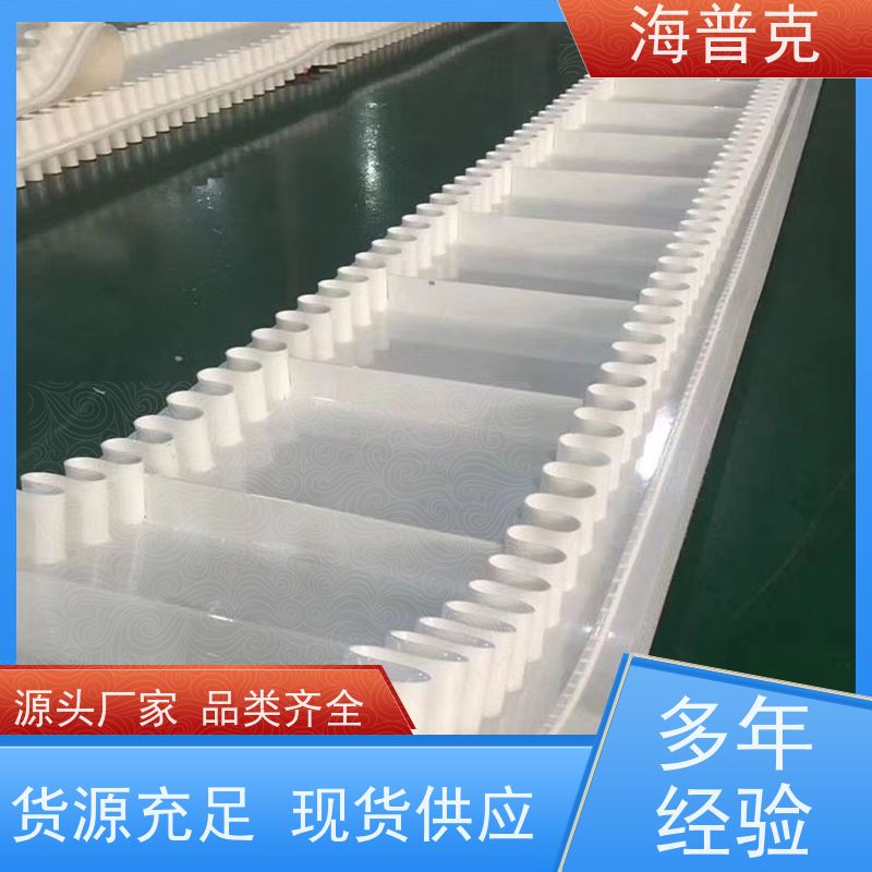 海普克 菱形花纹输送带 饼干糖果生产线 可定制裙边高度 小型食品粮食