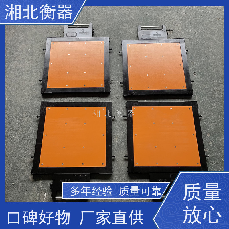 湘北衡器精工 LP7561RF无线便携式轴重秤显示仪表 可移动手持汽车称重仪