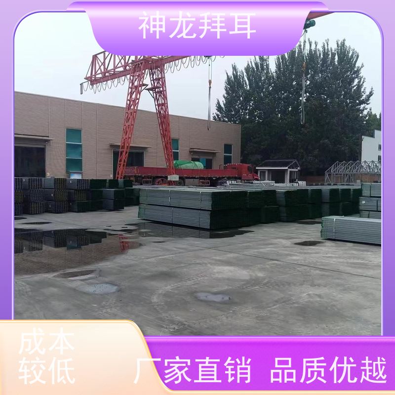 河北神龙拜耳 光伏支架碳钢 快速响应 多少钱