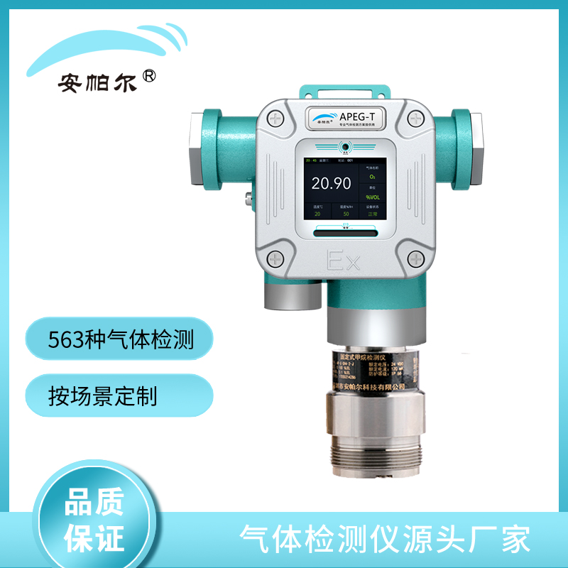 安帕尔 泵吸式检测壬烷气体 固定式安装检测仪器