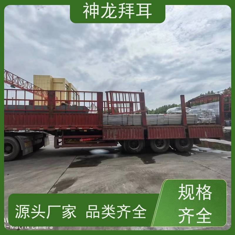 河北神龙拜耳 镀锌铝镁合金光伏支架 生产厂家 高效