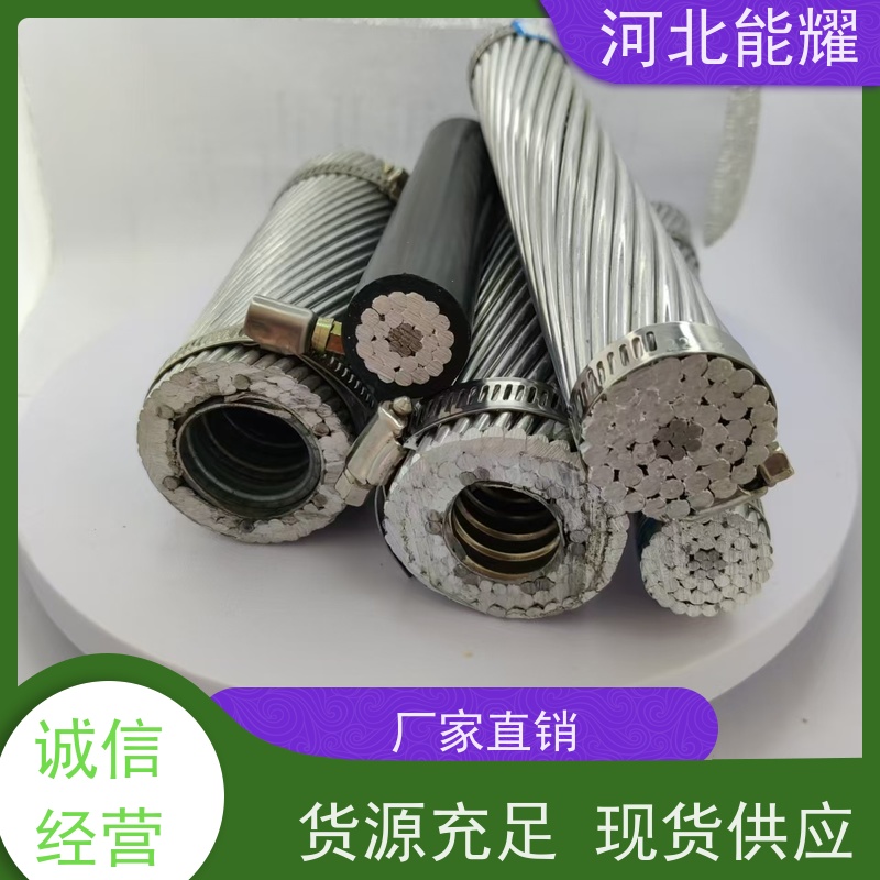  JNRLH2/G1A-630/45 耐高温钢芯铝绞线 新型节能 裸电线 严控质量