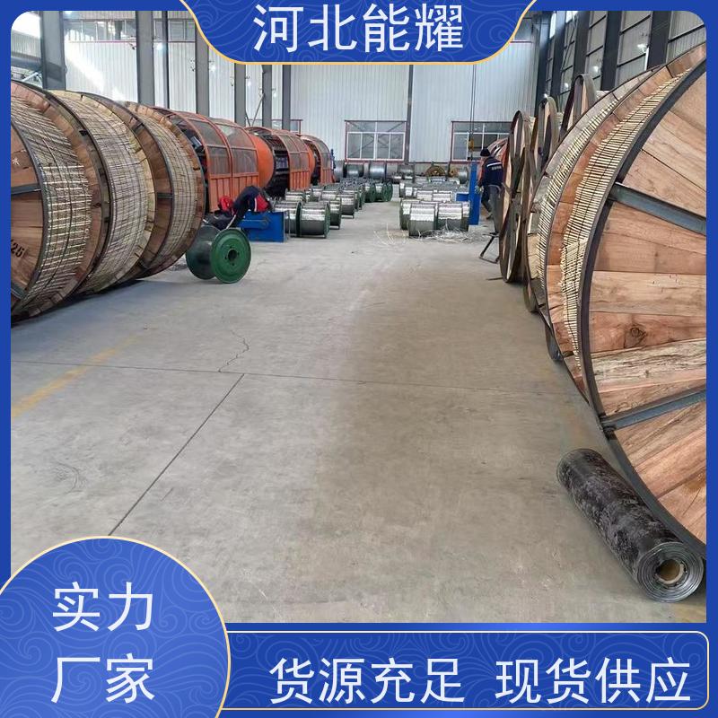  JNRLH2/G1A-500/45 耐热铝合金钢芯导线 新型节能 裸电线 优选原材料