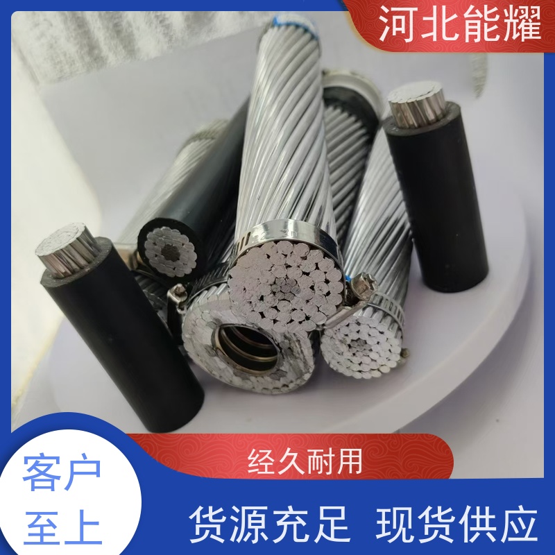  生产加工 急速发货 扩经钢芯铝绞线 LGKK-900 电力架空裸电线