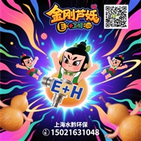 E+H在线水质分析仪配件CA80TN光度计transmitter板71504596