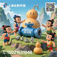 E+H在线水质分析仪耗材CA80PH维护工具箱CAV800-EA11+PS