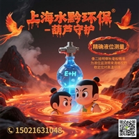 E+H在线水质分析仪配件CA80PH维护工具箱CAV800-EA11+PS