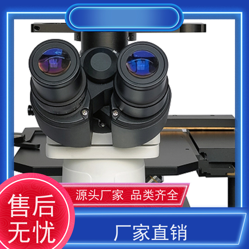 明慧 应用于疾病机制 海南 看荧光的显微镜 活细胞迁移观察