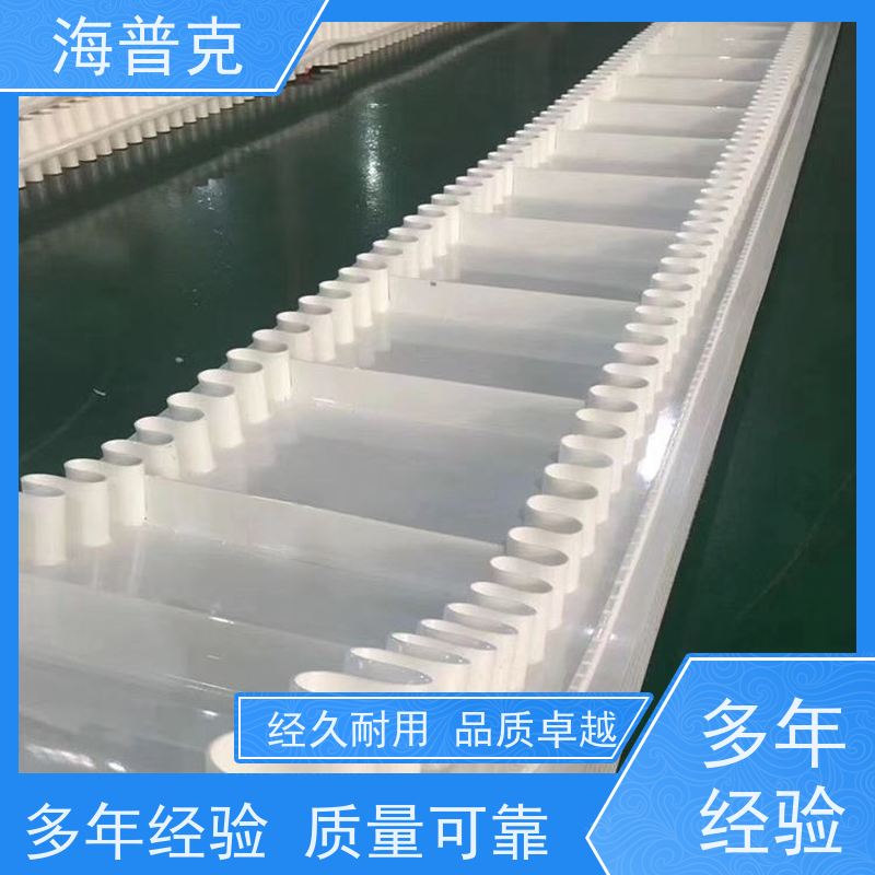 海普克 饼干糖果生产线 可定制裙边高度 流水线轻型工业 耐油输送带